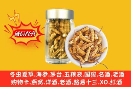 北京市朝阳回收散虫草