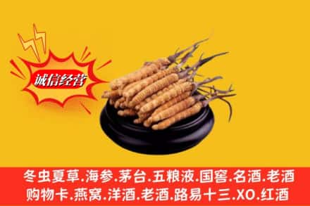 北京市朝阳求购回收虫草多少钱每克